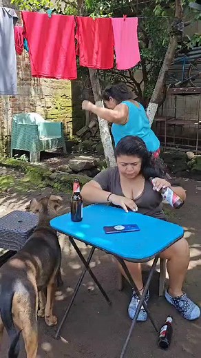 Funny Neighbor Comedy Videos