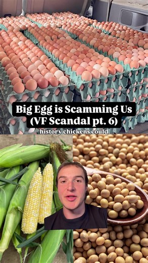 This is the first time in history chickens could have spent their entire life in barns eating corn and soy and still have eggs labelled as pasture-raised. In 2023, Vital Farms admitted 90% of chickens were housed in barns. Big operations use the term “ACCESS” to sell Billions of dollars in eggs to YOU for birds that may have never stepped a single day outside. And while Vital Farms says the feed of corn and soy is “supplemental”…we have no idea how much the chickens are outside foraging… Pasture