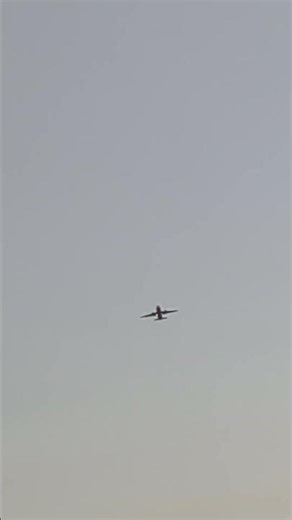 American Airlines Airbus a319 flying over me