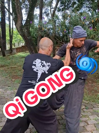 Unlocking the Secrets of Qigong in Kung Fu