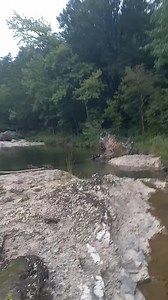 1.9K views · 47 reactions | Just a couple Otters fighting over a fish簾 #Arkansas #AdventureAwaits #fblifestyle #ARAdvTeam | The Arkansas Adventure Team | Facebook