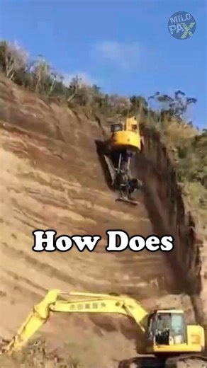 12K views · 54 reactions |  How Does This Excavator Defy Gravity? 直...