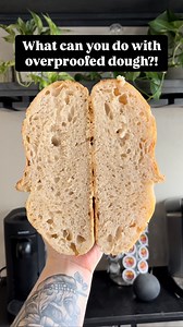 What to do with overproofed dough! #sourdough #sourdoughtips #overfermented #overfermenteddough #sourdoughstarter #sourdoughscoring #sourdoughbaker #sourdoughbakery #sourdoughtutorial #sourdoughtipsandtricks #sourdoughbread #sourdoughhowto #beginnersourdough #sourdoughbeginner #sourdoughforbeginners #sourdoughbaking #allaboutsourdough #breadmaking #doughrecipe #bakingtips #homemadebread #breadrecipe #sourdoughrecipe #breadbaking #MakingBreadAtHome #artisanbread #BreadmakingForBeginners | Muscle 