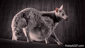 Belly Sway - another short looped animation by Zefiro Treddi on Make a GIF