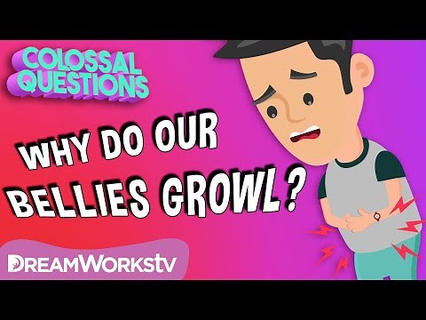 Why Does Your Belly Growl? | COLOSSAL QUESTIONS