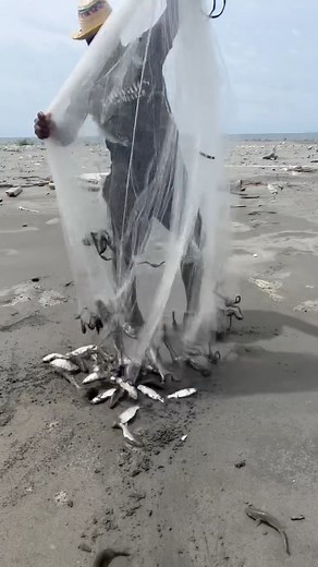 Pesca de lisa con atarraya #reel | Pesca artesanal tumaco nariño