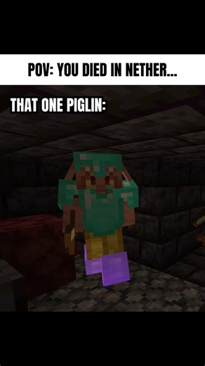 MINECRAFT MEME