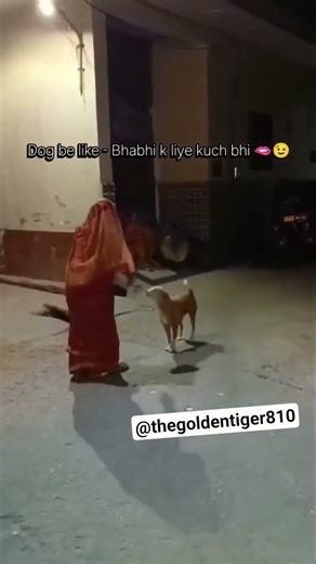 Bhabhi lover😂 #shortsfeed #shorts #funny #viral #dog #doglife #dogshorts #comedy #animals #cute