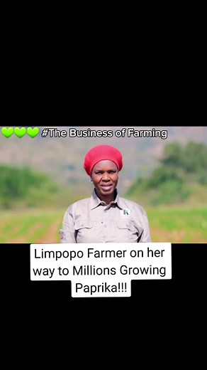 Limpopo Farmer's Paprika Dream: Making Millions in Africa