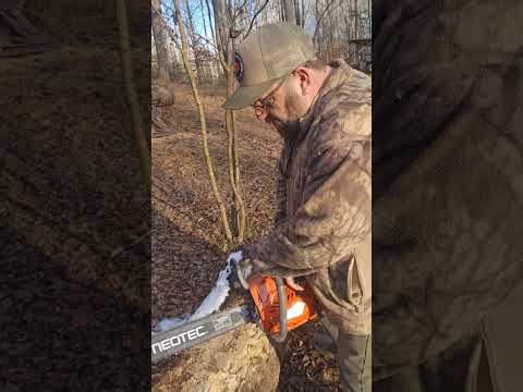 Testing out the neotec chain sharpening tool. Some fun run time with the 68 cc. 9:16