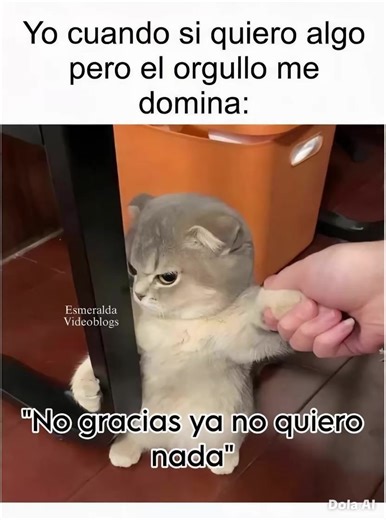 Exploring the LIVE Monetization Program Benefits