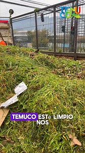 ✨ ¡El centro de Temuco se sigue recuperando! Bajo el plan el Centro es de Todos, estamos desarrollando un gran operativo de limpieza y hermoseamiento que incluye: ✅ Barrido de calles con personal y barredora ✅ Limpieza de ciclovías ✅ Raspaje y pintado de rejas ✅ Poda de árboles y corte de pasto ✅ Recambio de flores ✅ Limpieza de fachadas 🌳 Nuestro compromiso es avanzar en la seguridad, el medioambiente y la revitalización del casco histórico de la ciudad. 🙌 Seguimos trabajando para que Temuco 