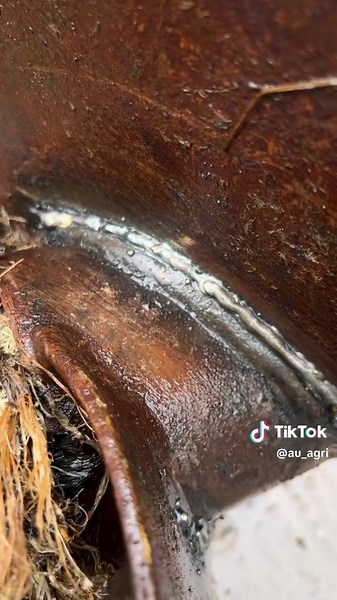 @Storth Machinery Ltd slurry stirrer last season hit the floor badly and bent all the props over. After bending them back some serious cracks had emerged. Still learning with the stick welder but pretty pleased with how they turned out. After a few weeks of use they are still holding strong! #storth #slurry #silage #farmlife #farming #farminguk #muck #cattle #backbritishfarming #youngfarmer #learnwithme #newskill #welding #stickwelding #slurry2025 @PRESIDENT #president