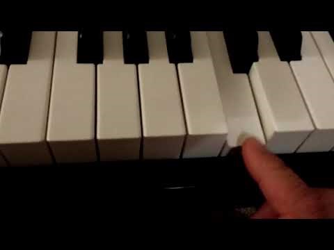 Williams Allegro 2 Digital Piano Review