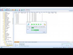 Total Audio Converter - How to Use, and a Bug Report