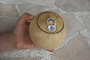 COCO EASY: Pop-top invention revolutionizes coconut-drinking fun | Coconuts