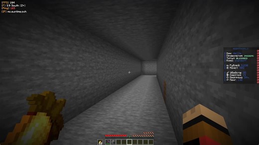 Доступ к серверам Minecraft: Вечное время и пространство