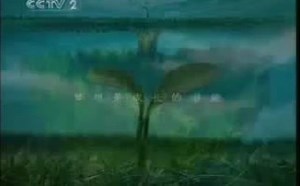 cctv2 广告 2007.8.2