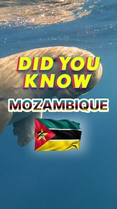  Discover the Wonders of Mozambique! ✨ Did you know this amazing...