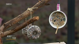 Vogelfutterstation aus altem Geschirr selber bauen