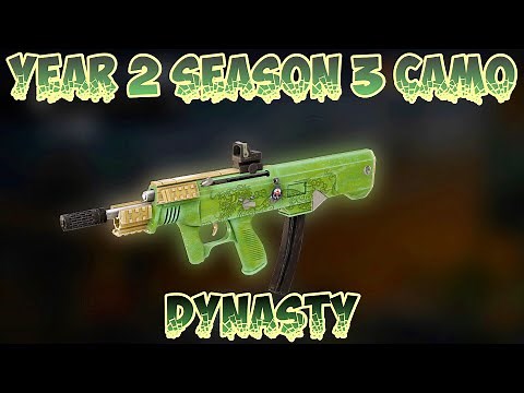 Rainbow Six Siege | Dynasty Weapon Skin