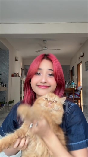 Exploring Orange: Fun Coloring Techniques and Trends