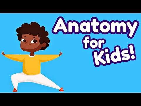Human Anatomy for Kids: The Brain, Heart, Eyes & Nose!