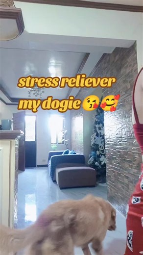 💫ChubbieGallego💕 (@loveselfmu)’s videos with original sound - Dj Gentrax Remix