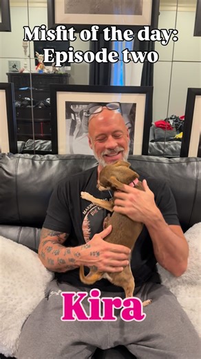Bobby Humphreys on Instagram: "Good morning everybody! I’m going to continue on with the misfit of the day. I do mention in the video that it’s going to be a little difficult to get them in every single day. I apologize for missing last evening as I explained something things had come up. But we will get these done and as orderly of a fashion as possible. Today’s misfit: Kira! ❤️❤️❤️ she is my first adopted Chihuahua. She’s my queen. She was and is my alpha. Until Thor came in that is. And then 
