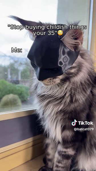 I’m BATCAT 🦇🐈‍⬛ #batman #batcat #cat #dc