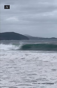 That’s a decent wave 😮 A 6m swell has kicked into life the nearly complete artificial surf reef off Albany today 🌊 Keep up-to-date with what's happening across the Great Southern: https://www.abc.net.au/greatsouthern#newsletter | ABC Great Southern