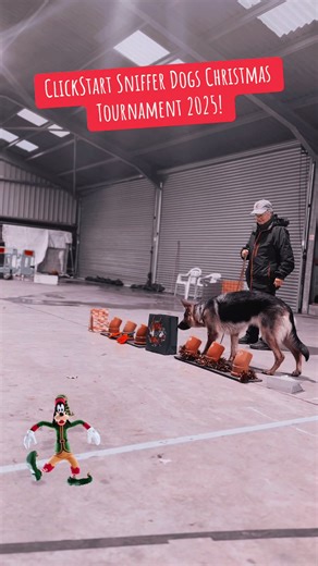 Sniffer Dogs Dance Tournament Highlights