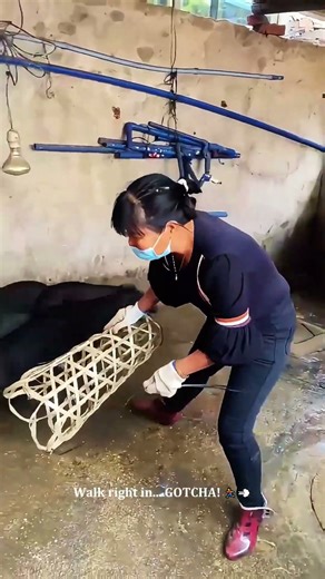 Catching Piglets Like a PRO! 🐷🧠 Ancient Farm Genius Tool! #farming