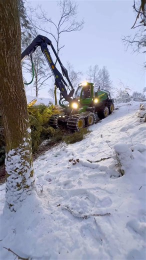 Skovmaskinen er i fuld gang med udtynding på private skovejendomme, inden vi går i gang med genplantning på de forskellige skovarealer 🌲🌳 Har du arealer der kunne trænge til udtynding samt genplantning, eller blot spørgsmål hertil, så kontakt Kasper direkte på 45 22 20 41 27 | Skovbygaard A/S