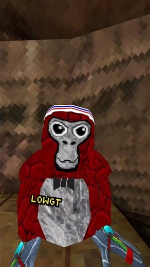 i quit #gorillatag #gorillatagquest #gtag #vr #code#monke #amnewbutnottheleast#gorillatagvr#gorilla