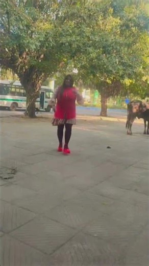 kiseh din banogi #ytshorts #feedshorts #bollywoodsongs #hindisong #viralshort ‪@Bhayashar1409‬