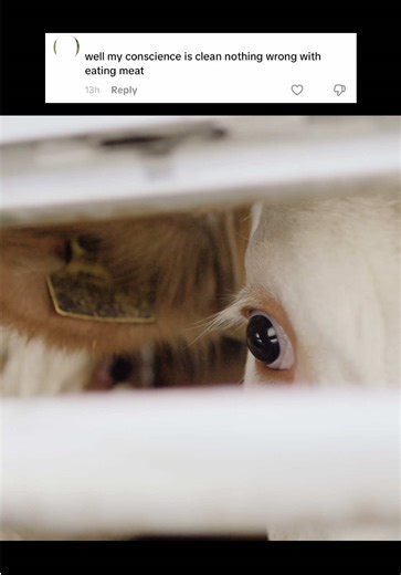 The Truth About Eating Meat and Consciousness