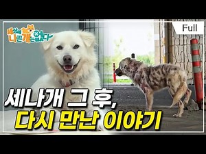 [Full] 세상에 나쁜 개는 없다 - 세나개 그 후, 다시 만난 이야기