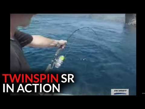 Accurate TwinSpin SR 12 in ACTION