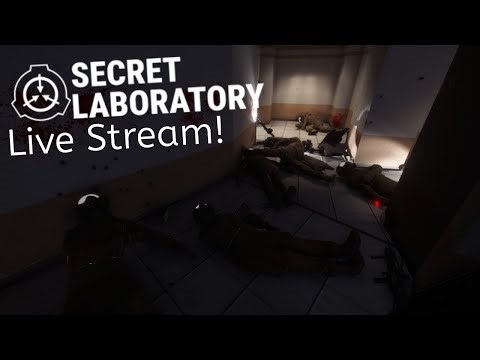 Die, respawn, die, and repeat | SCP: Secret Laboratory + Cat Cam