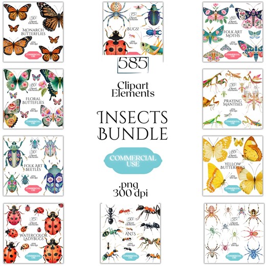 Insect Clipart Mega Bundle, Bug PNG Graphics, Butterfly Beetle Ant Spider Ladybug Illustrations (585 Files, Transparent Background) - Etsy
