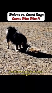 #handwork #Manufacturing #Build #Creativ | WILD SAGA