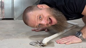 Alright homeowners, class is in session. Today's lesson? How to flush (and maintain) your condensate drain line. | HomeServe USA