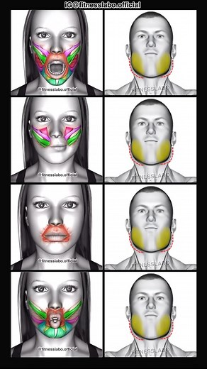 1.2M views · 1.7K reactions | ✅ Perfect Face Exercises to Lose Fat 3 sets 30 seconds #fitness #gym #exercise #workout #workoutroutine #exercisetips #fitnesstips #bodybuilding #faceexercise #facemassage | Fitnesslabo | Facebook