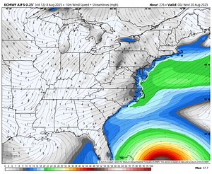 Expert Hurricane Tracking on Reels
