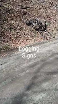 Mountain stream and a logging signs.