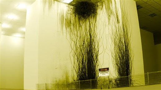 【后室Backrooms】发现的录像「平民禁区」