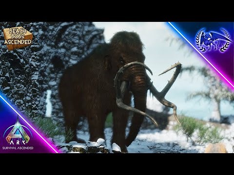 A PERFECT Tame Mammoth! - ARK: Survival Ascended S1E4