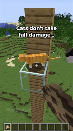 myth busting #minecraftmemes #minecraft | minecraft