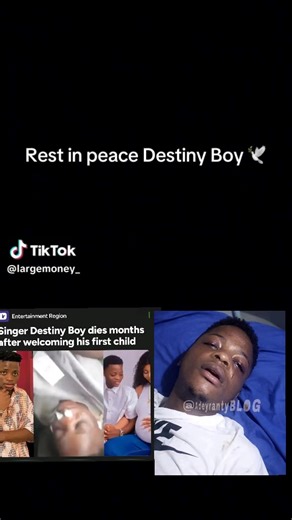 Understanding the Legacy of Destiny Boy